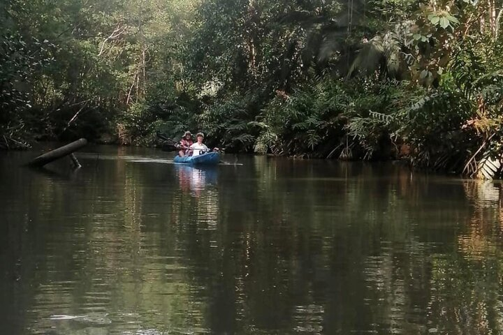 2-Hour Kayak Tour in Quepos - Photo 1 of 25